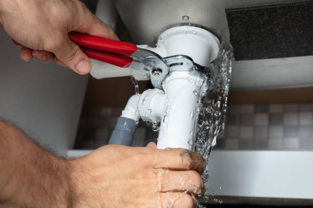 Best Mold removal after water damage  in Pemberton Heights, NJ