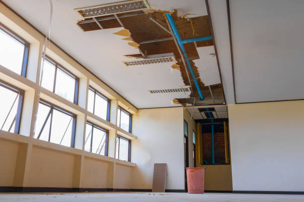 Best Flooded house restoration  in Pemberton Heights, NJ