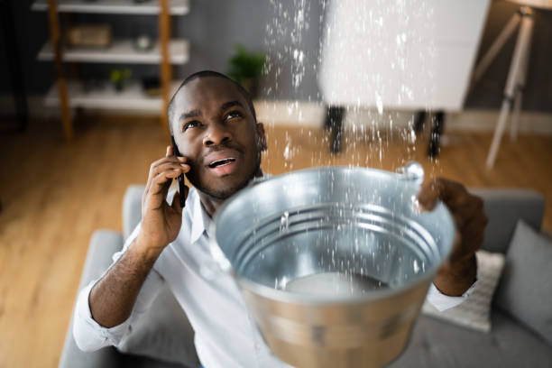 Best Fire Damage Restoration  in Pemberton Heights, NJ