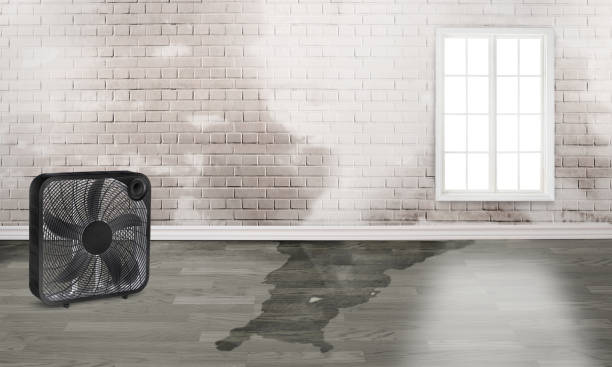 Best Water damage restoration near me  in Pemberton Heights, NJ