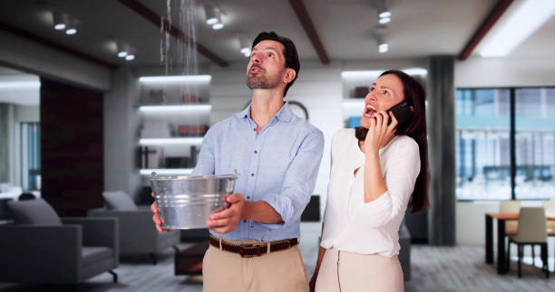 Best Flood restoration services  in Pemberton Heights, NJ