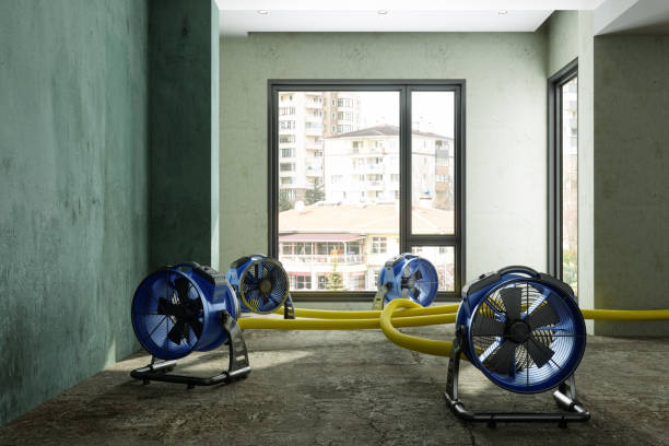Professional Water damage restoration in Pemberton Heights, NJ