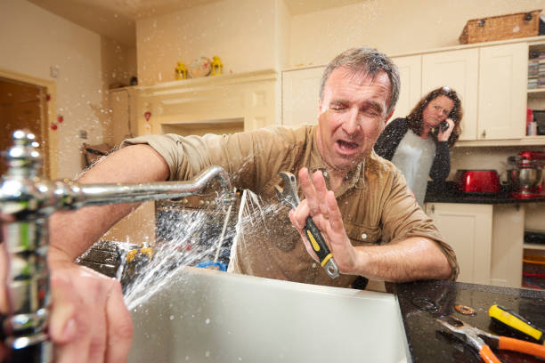 Best Professional water damage repair  in Pemberton Heights, NJ